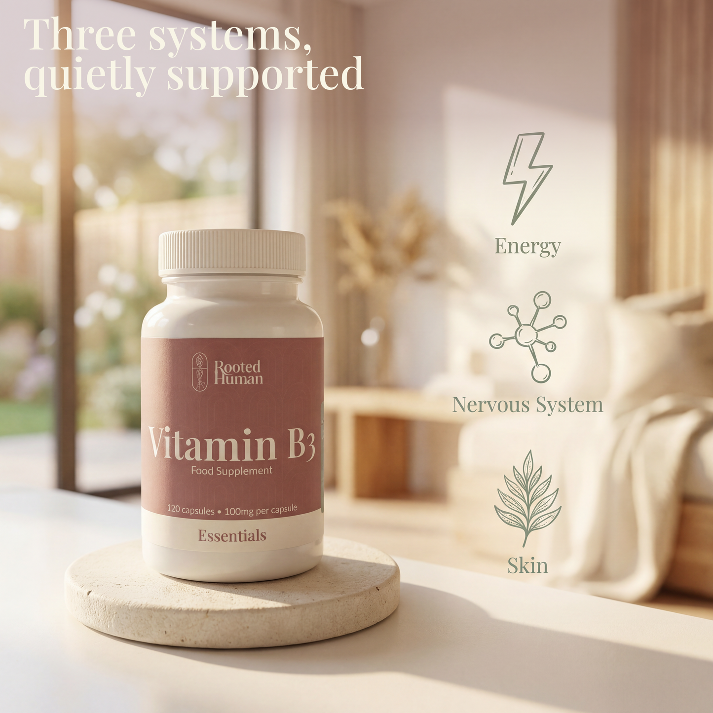 Vitamin B3 Niacin