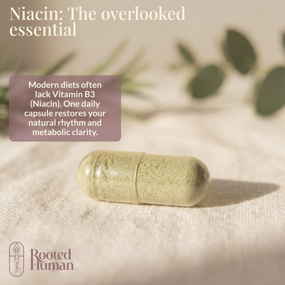 Vitamin B3 Niacin