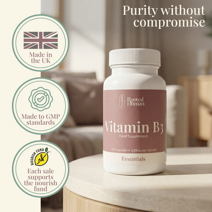 Vitamin B3 Niacin